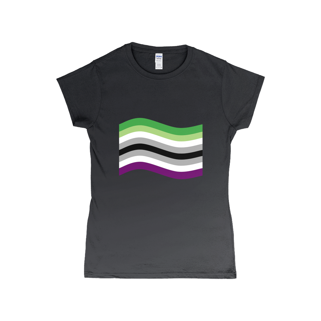 Aroace Pride Flag Fitted Tshirt | Choose Your Flag | Gildan Apparel ninjaferretart