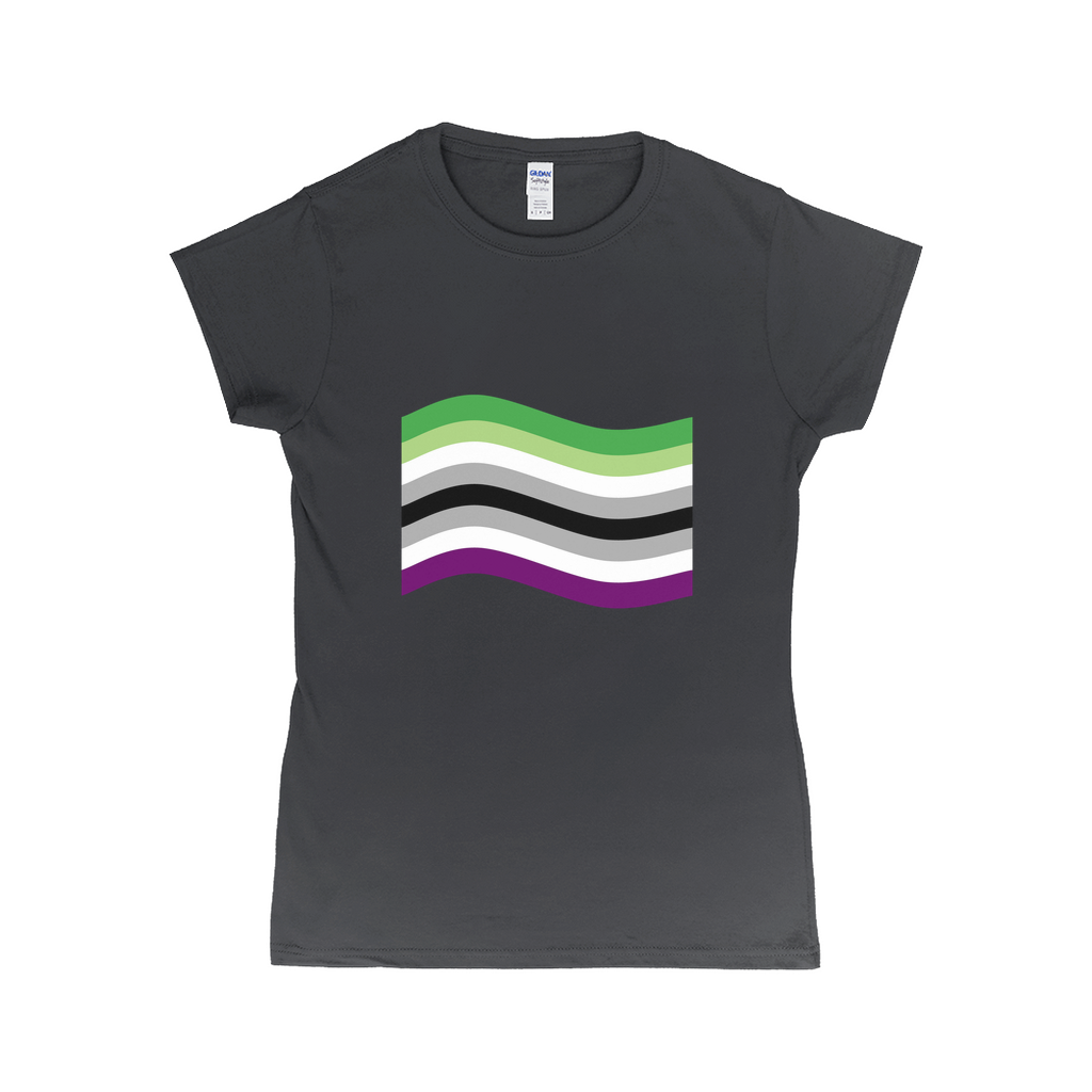 Aroace Pride Flag Fitted Tshirt | Choose Your Flag | Gildan Apparel ninjaferretart