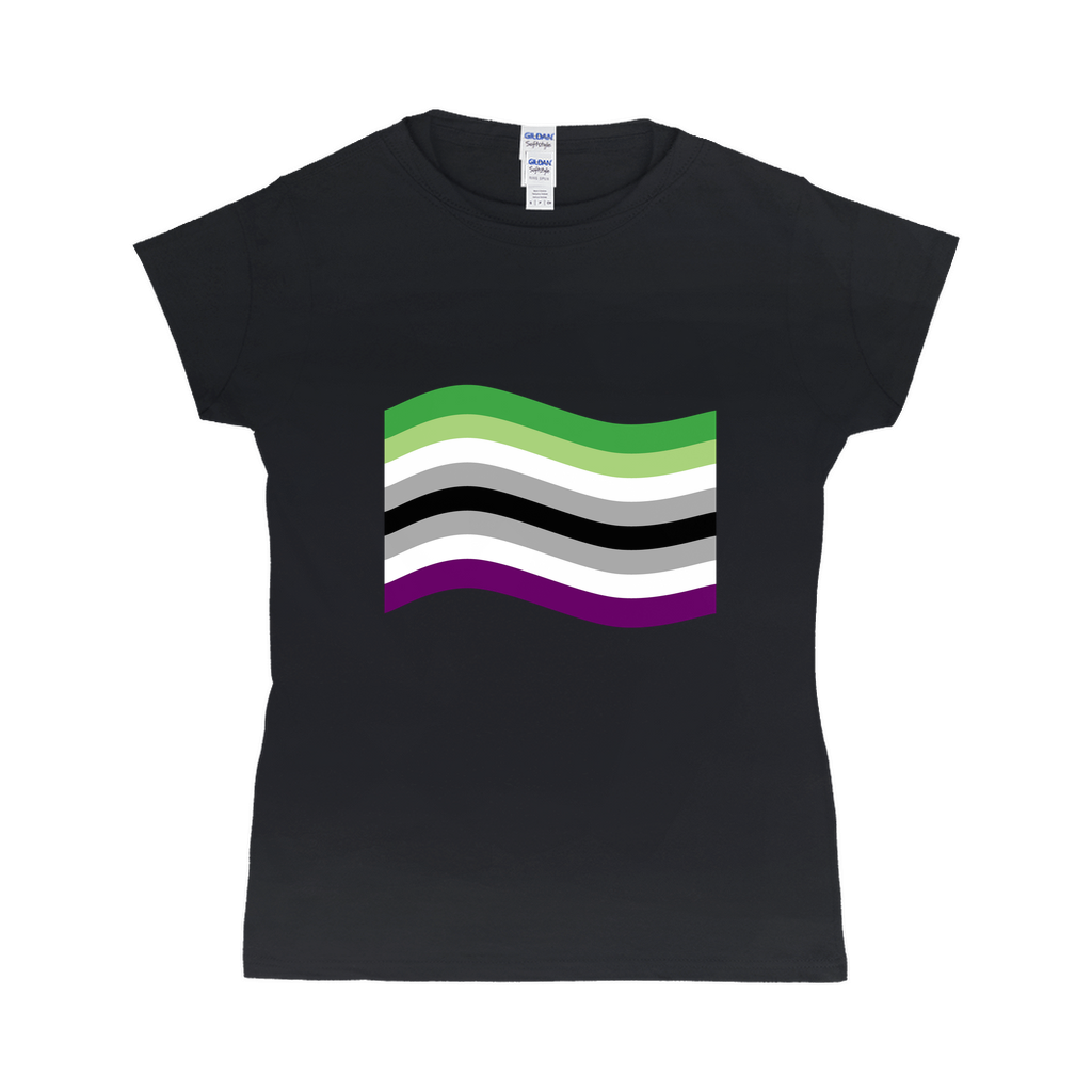 Aroace Pride Flag Fitted Tshirt | Choose Your Flag | Gildan Apparel ninjaferretart