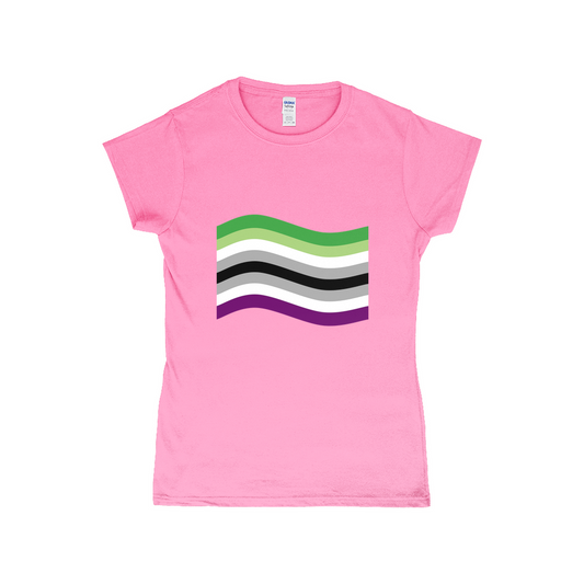 Aroace Pride Flag Fitted Tshirt | Choose Your Flag | Gildan Apparel ninjaferretart