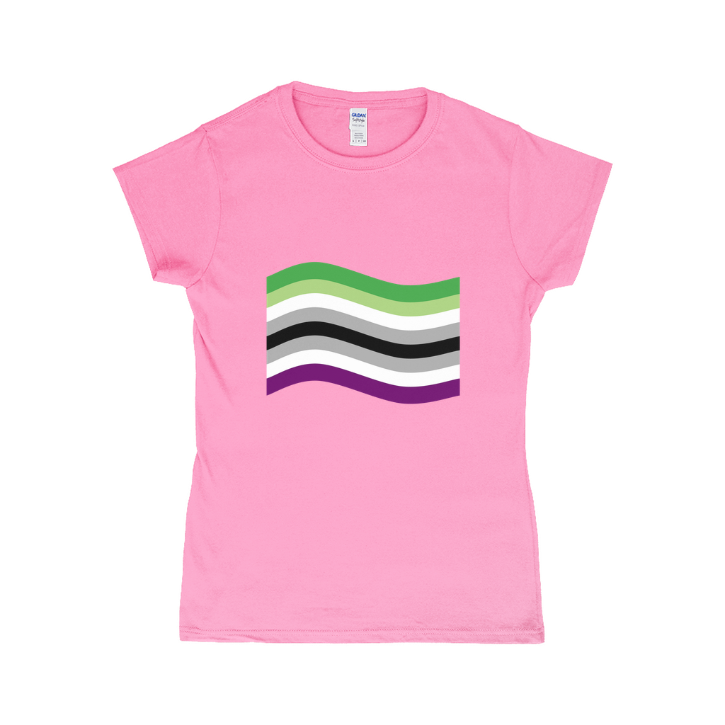 Aroace Pride Flag Fitted Tshirt | Choose Your Flag | Gildan Apparel ninjaferretart