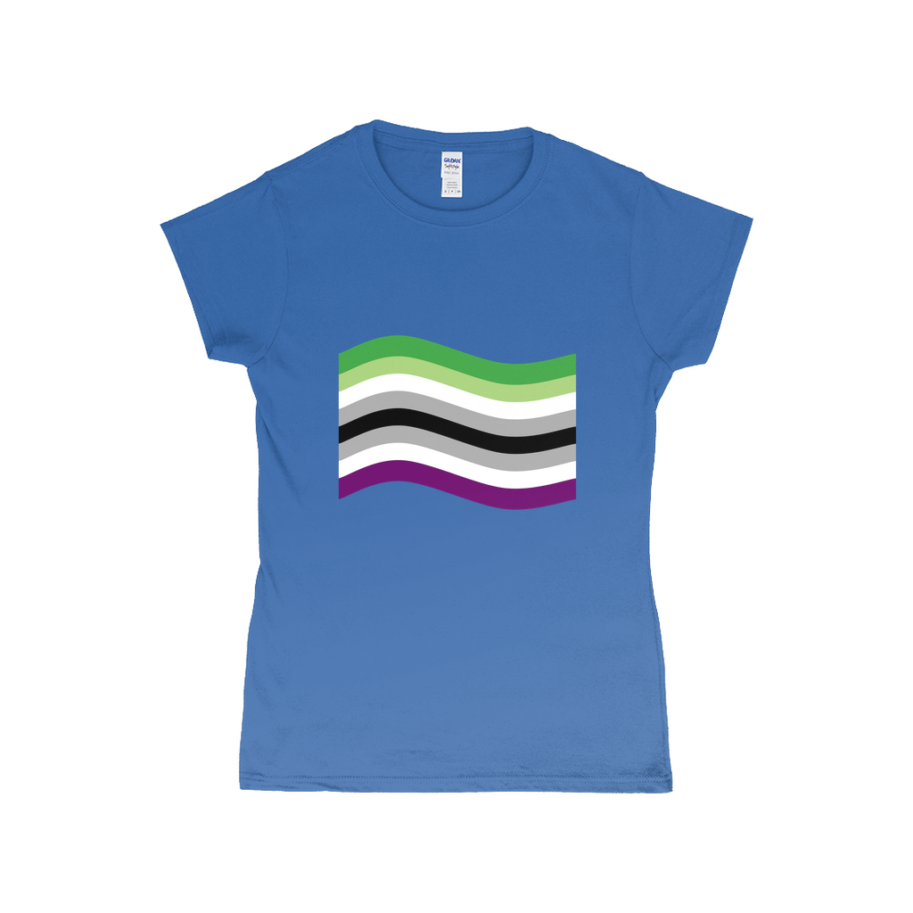 Aroace Pride Flag Fitted Tshirt | Choose Your Flag | Gildan Apparel ninjaferretart