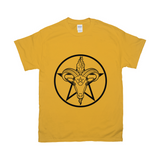 Baphomet Pentagram Relaxed Fit Tshirt - LIGHT | Choose Your Colourway | Gildan Apparel ninjaferretart