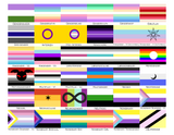 Choose Your Gender All-Over Print Flag | 5 Sizes