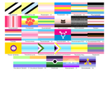 Gender Pride Flag Business Card Holder/Slim Wallet | Accessories | Choose Your Flag | Gender Identity and Presentation