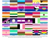 Choose Your Orientation All-Over-Print Flag | 5 Sizes