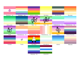 Orientation Pride Flag Business Card Holder/Slim Wallet | Accessories | Choose Your Flag | Romantic and Sexual Orientations | LGBTQIA2S+