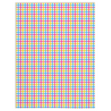 Couvertures Minky pansexuelles Gingham Plaid Pride
