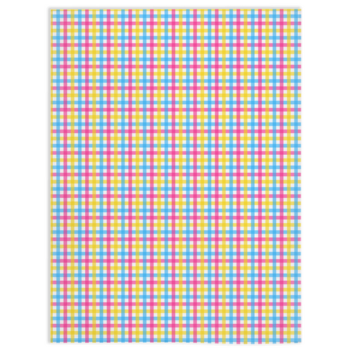 Pansexual Gingham Plaid Pride Minky Blankets